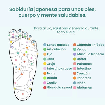 Plantillas Magnéticas de Bienestar™