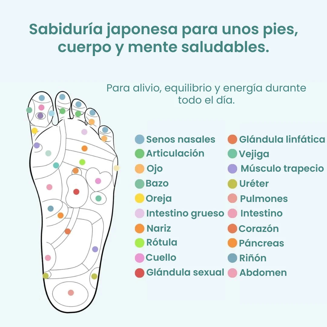 Plantillas Magnéticas de Bienestar™